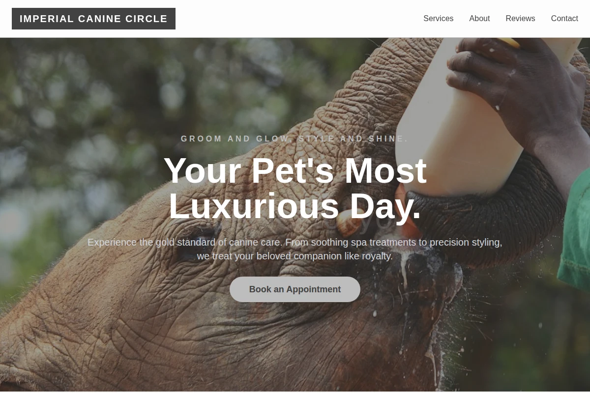 Metro Animal Care
