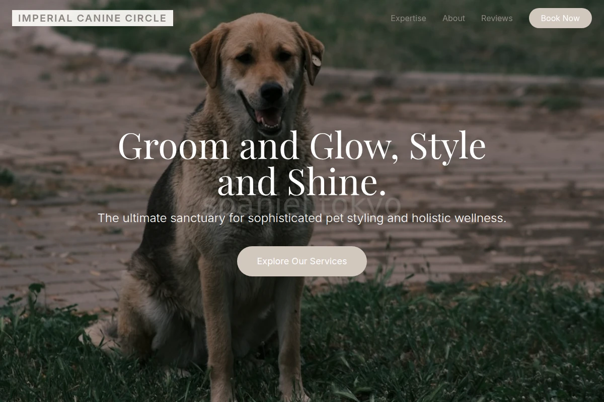Velvet Animal Care
