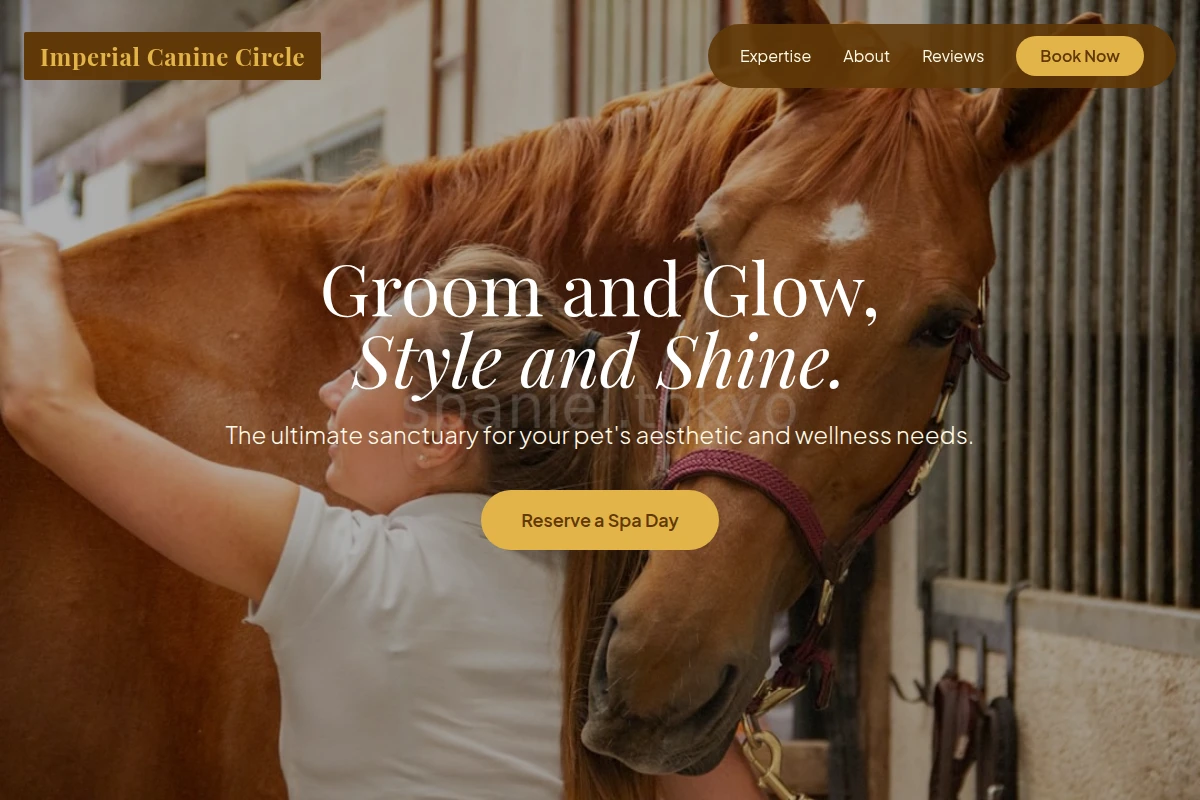 Studio Animal Care