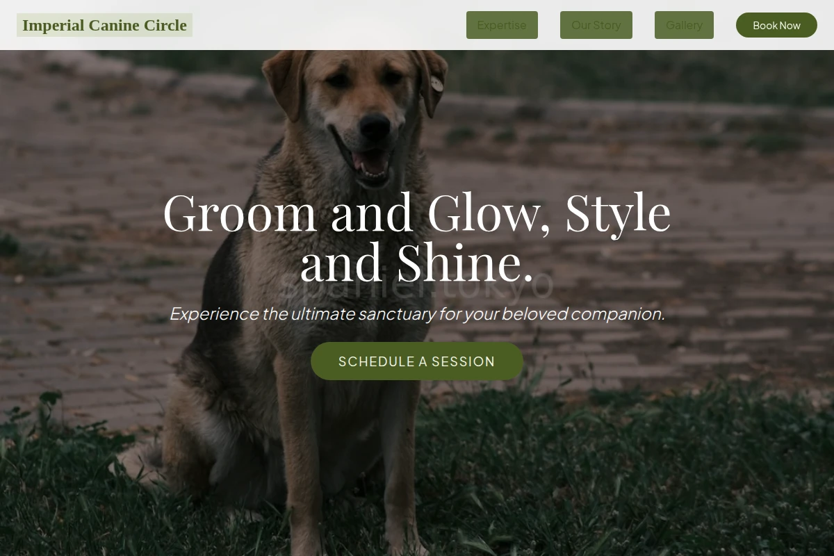 Groom Animal Care