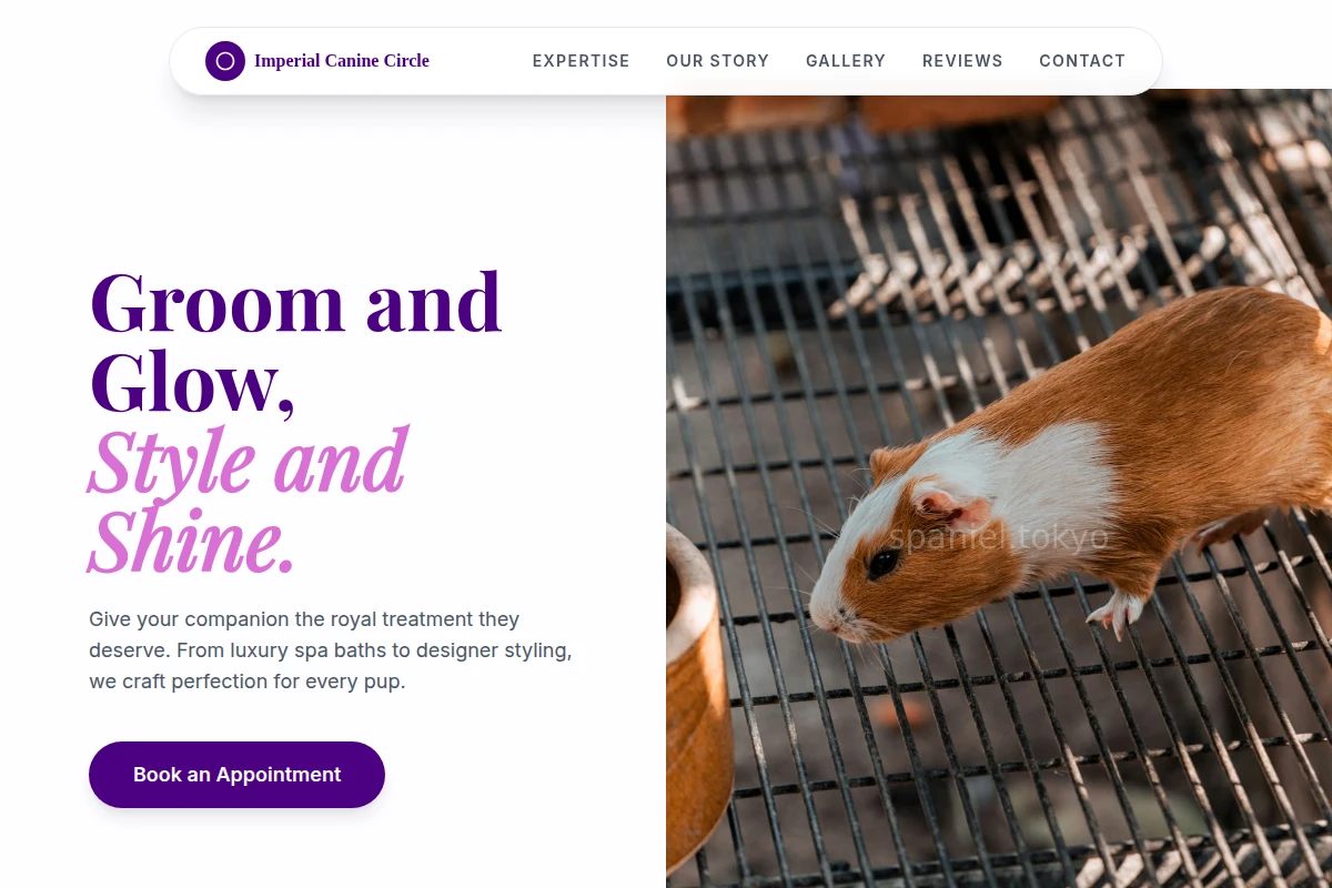 Paw Animal Care