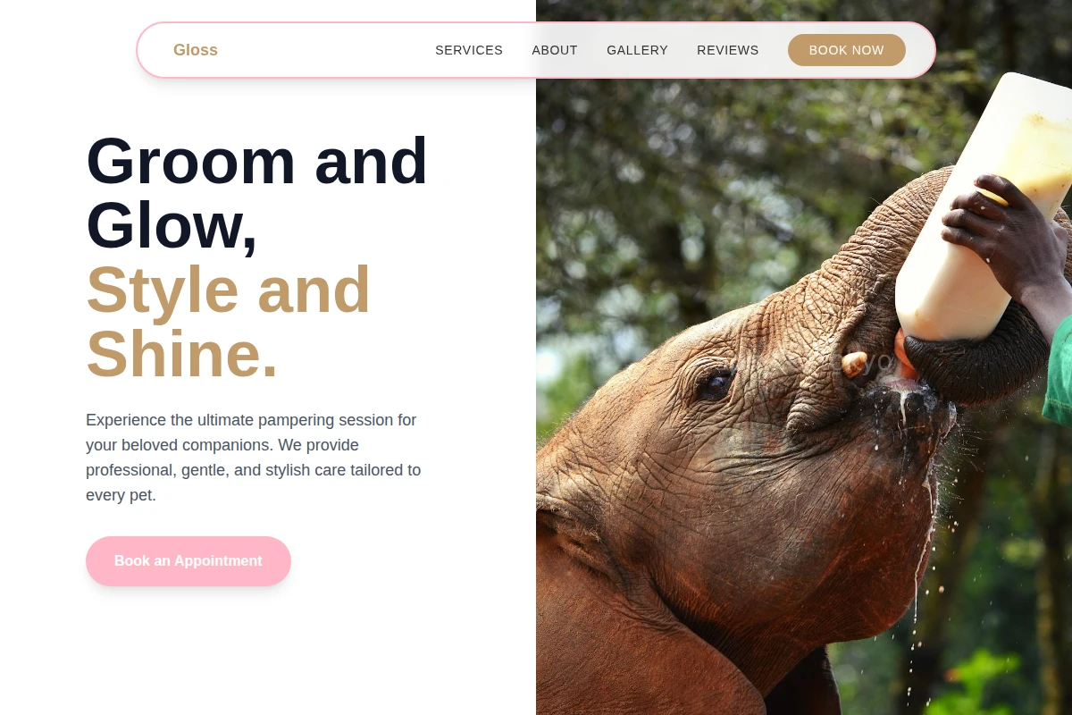 Gloss Animal Care
