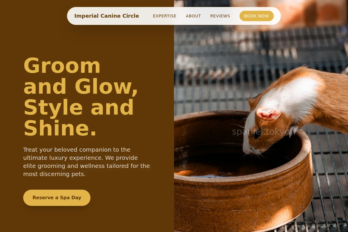 Woof Animal Care