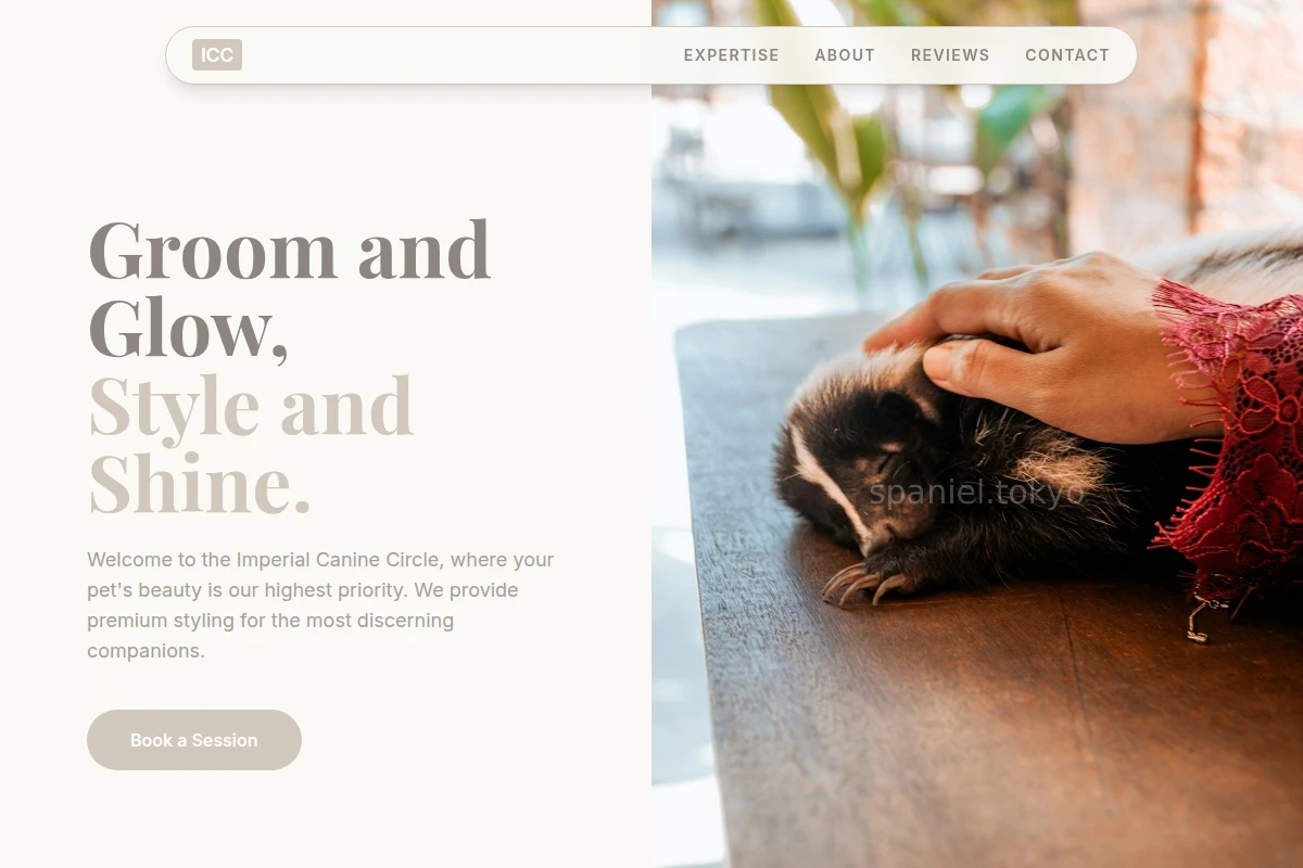 Collar Animal Care