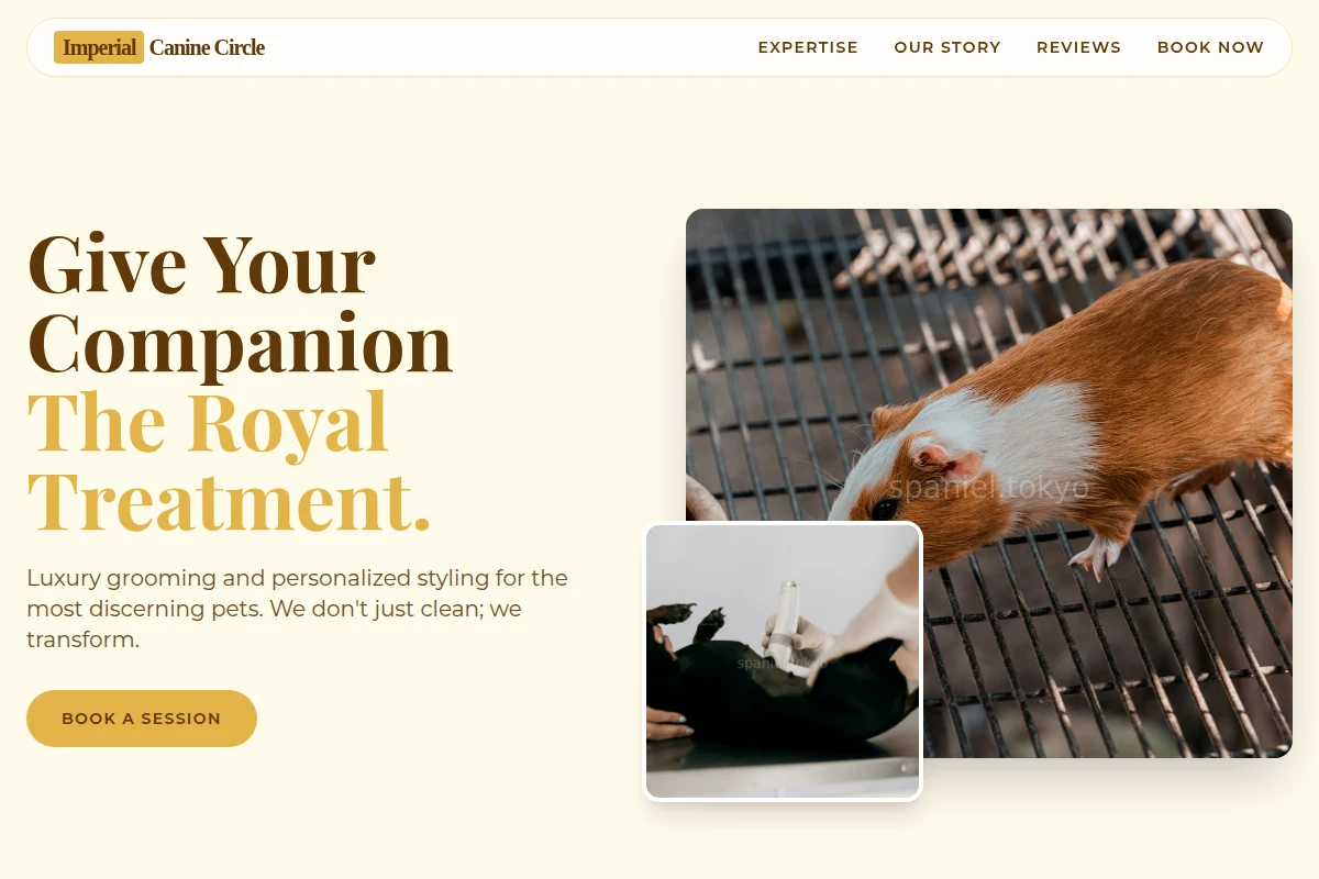 Neon Animal Care