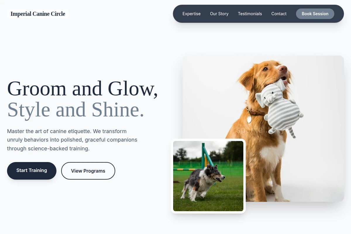 Gloss Dog Training