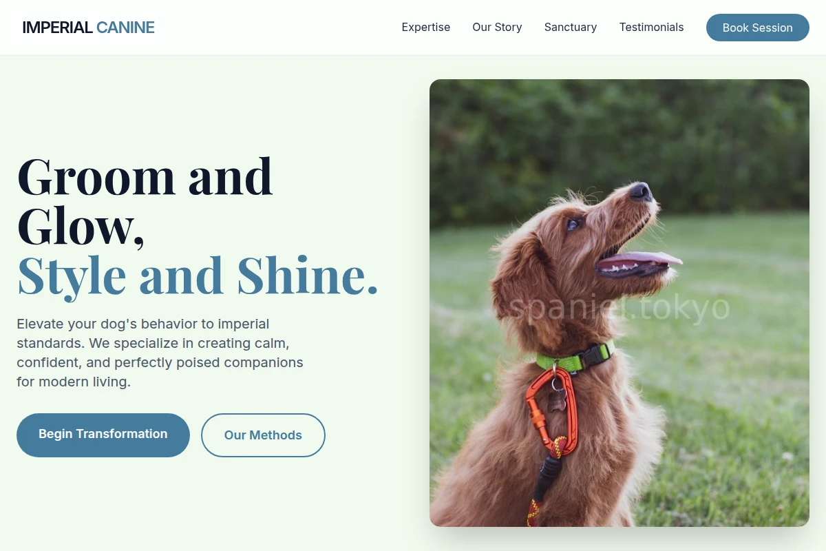 Bow Dog Training