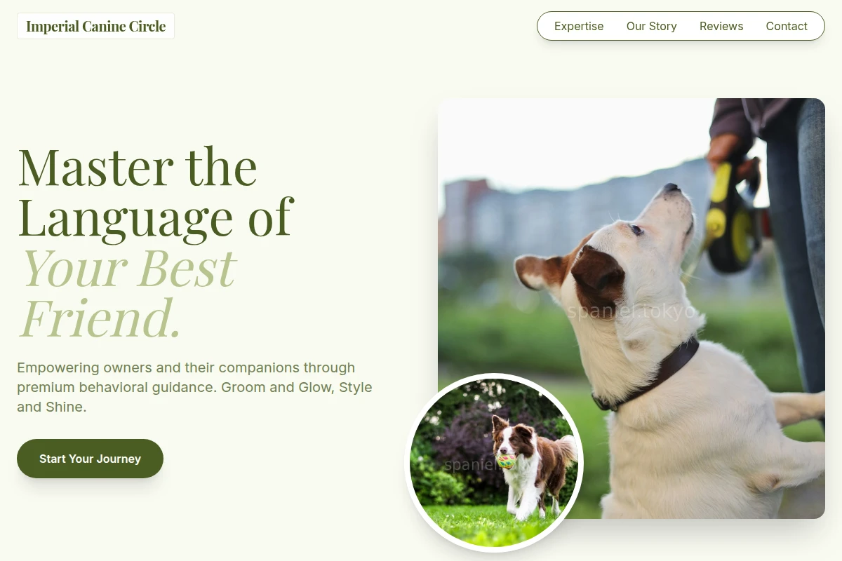 Clip Dog Training
