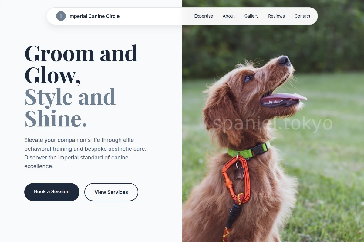 Woof Dog Training