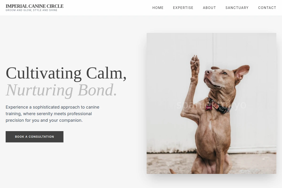 Zen Dog Training