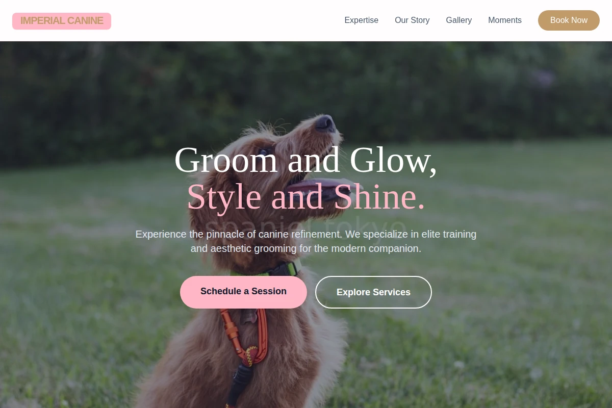 Silk Dog Training