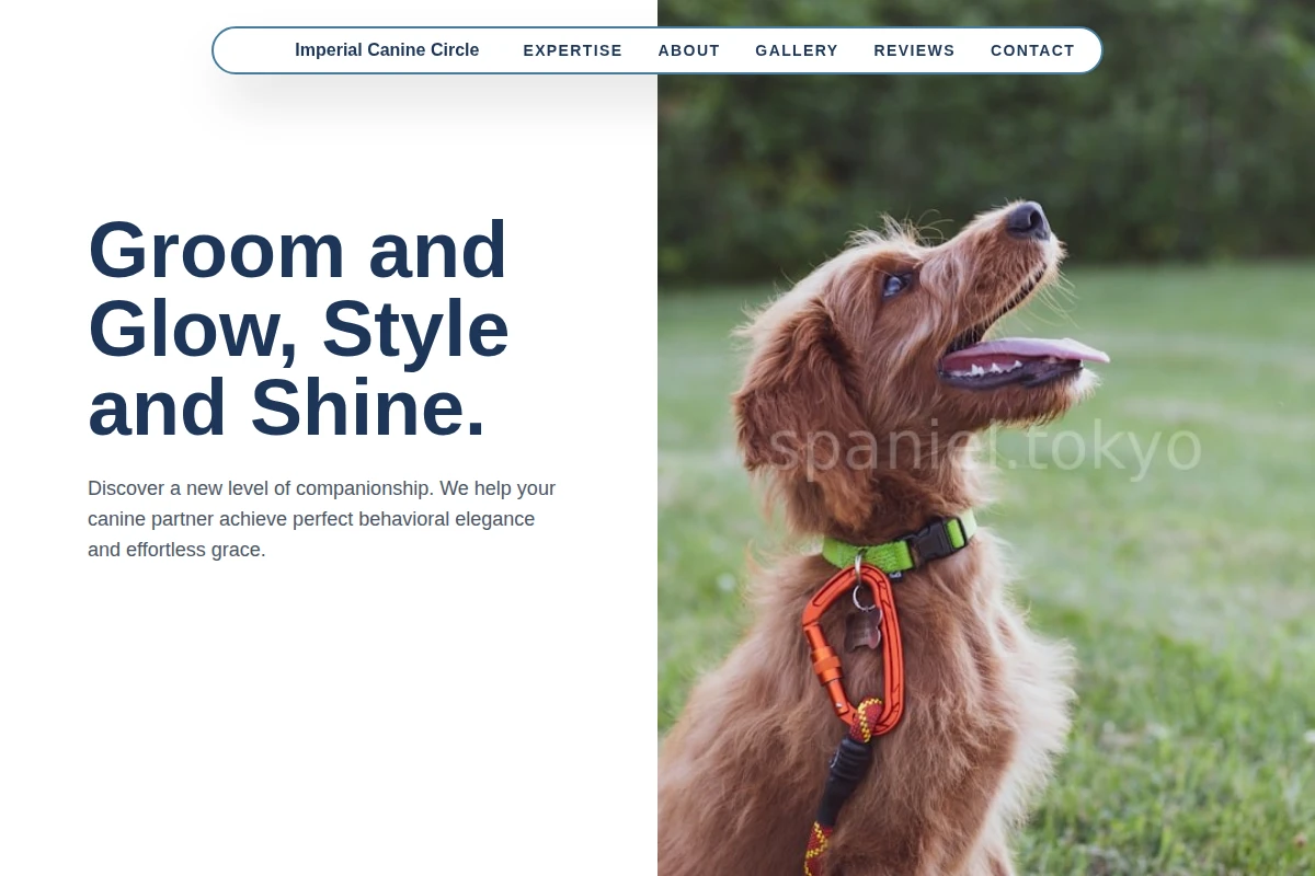 Bark Dog Training