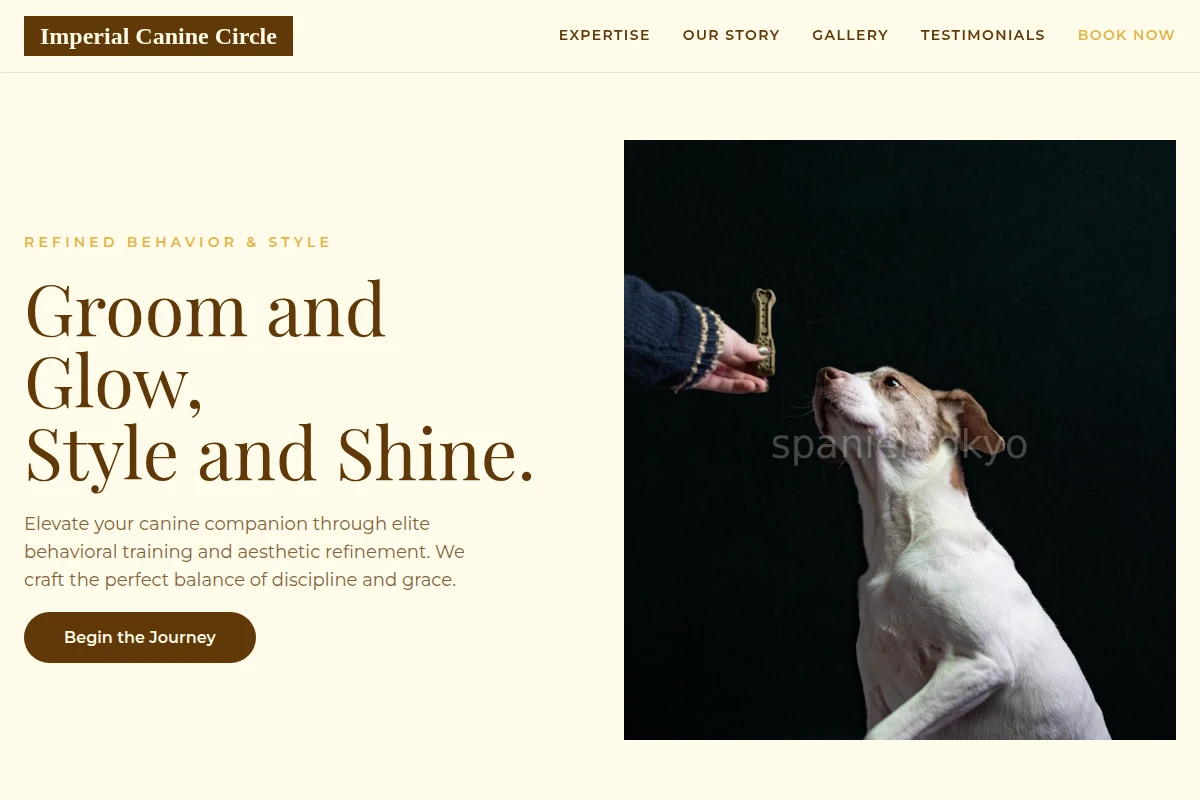 dog-training
