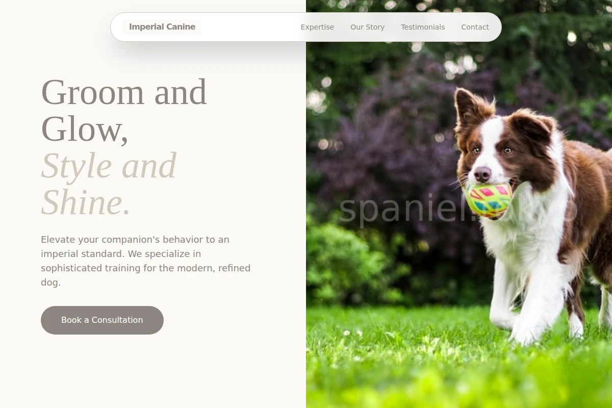 Bow Dog Training