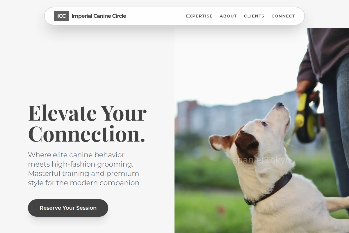Studio Dog Training