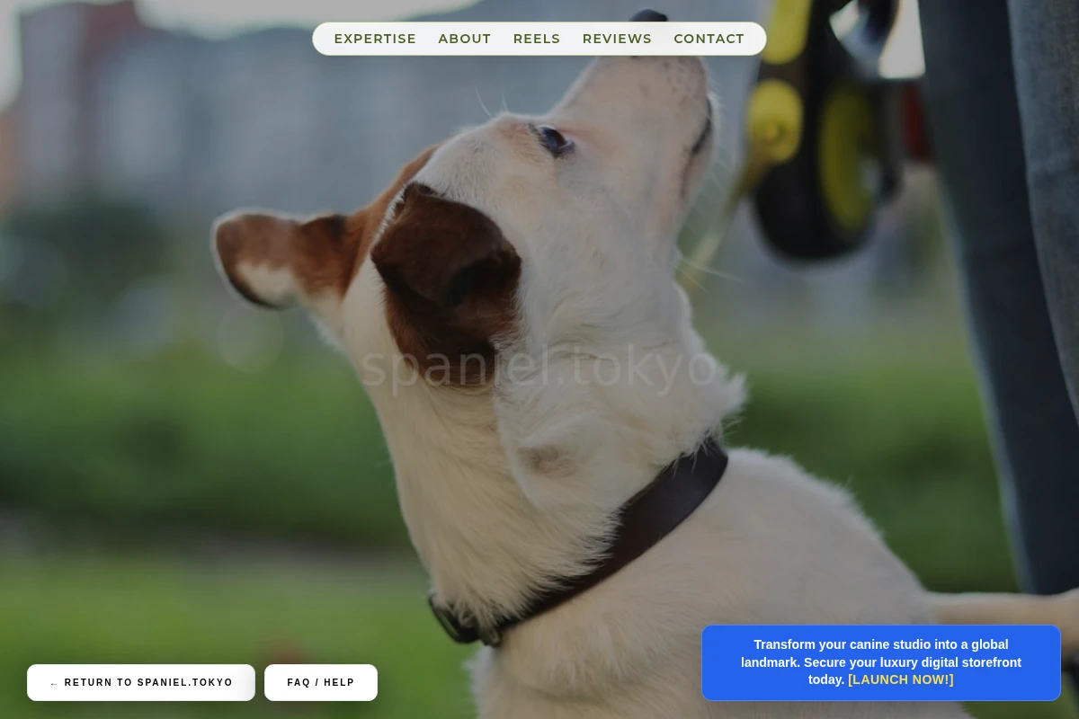 Posh Dog Training