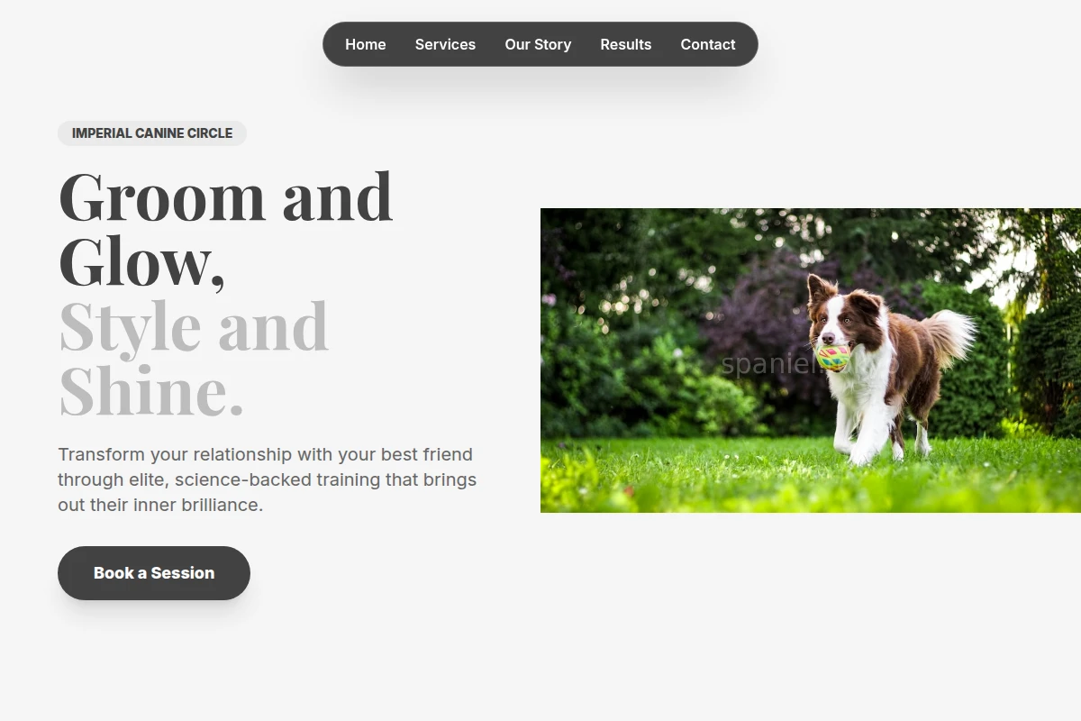Zen Dog Training
