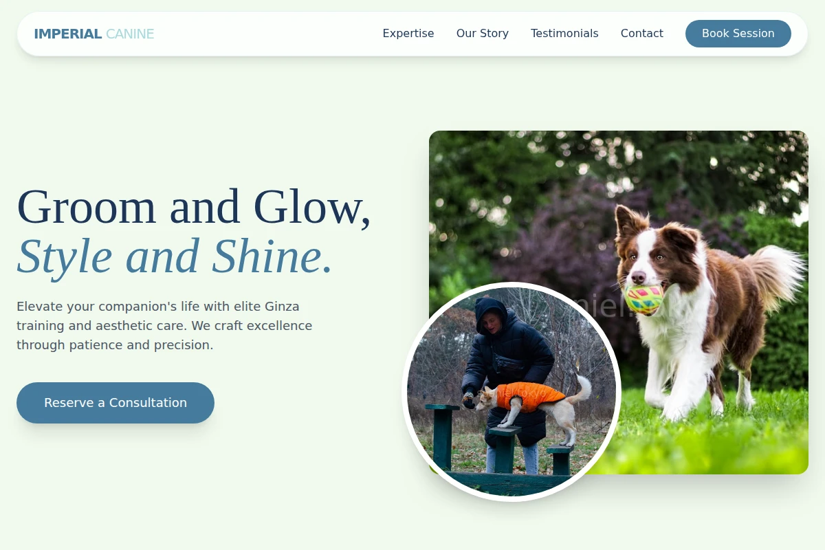 Ginza Dog Training