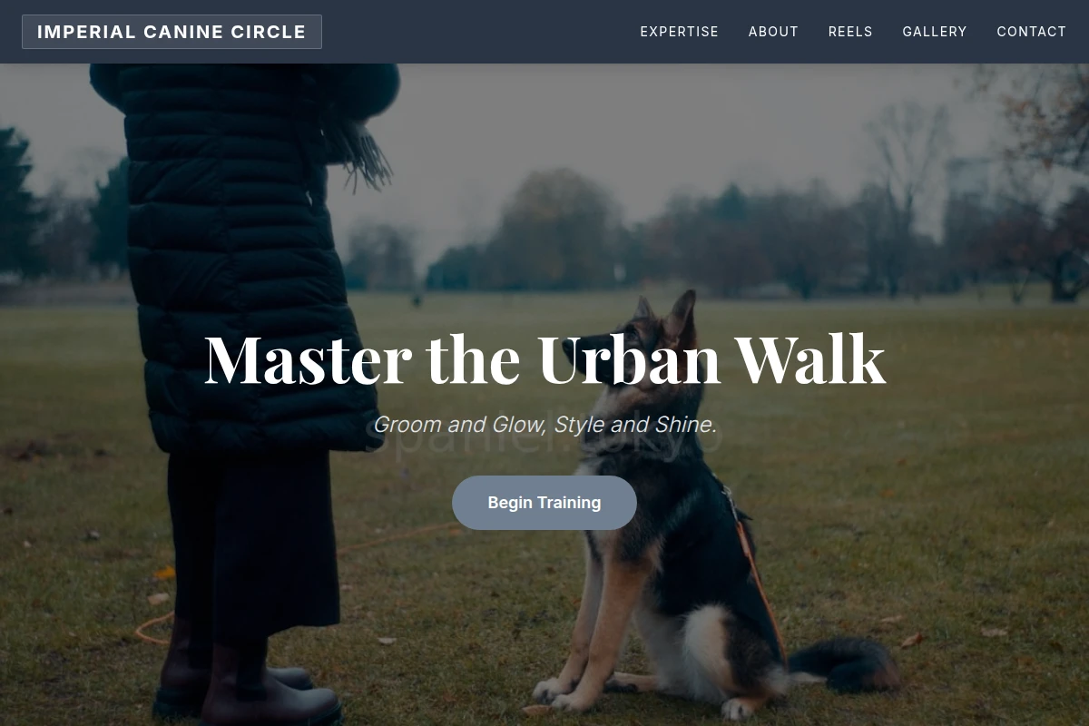 Urban Dog Training