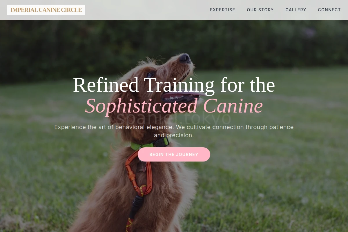 Metro Dog Training