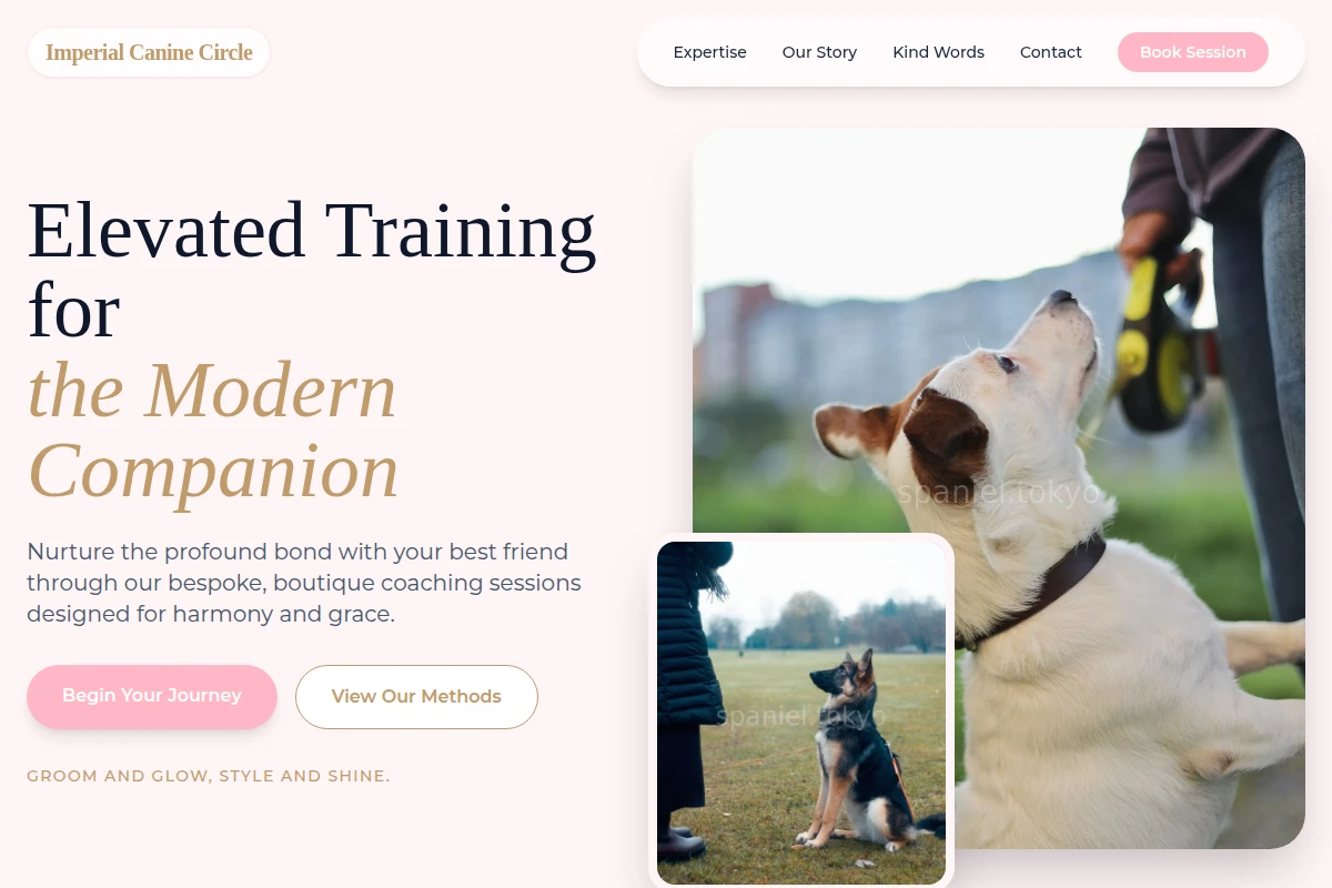 Boutique Dog Training