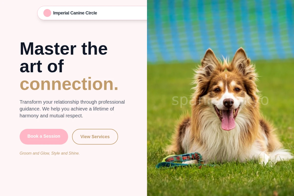Atelier Dog Training