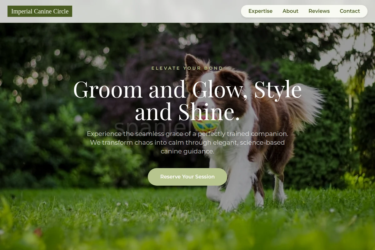 Silk Dog Training