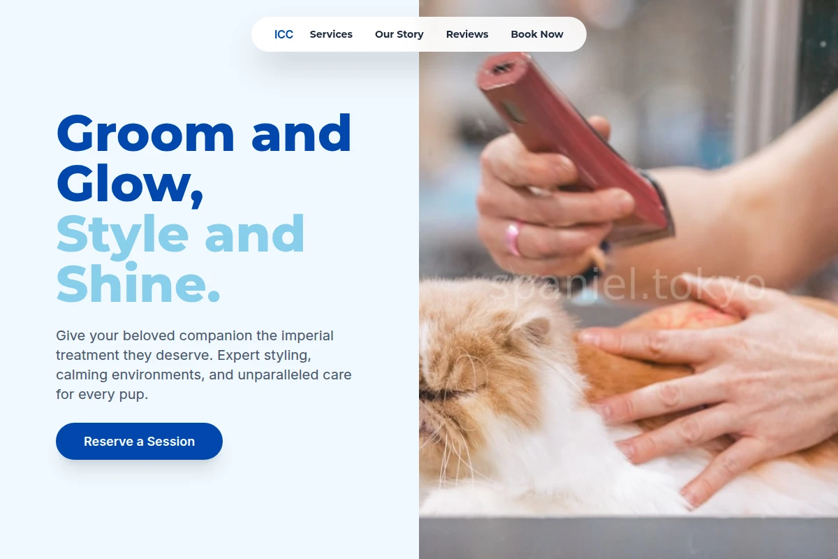 Canine Pet Grooming