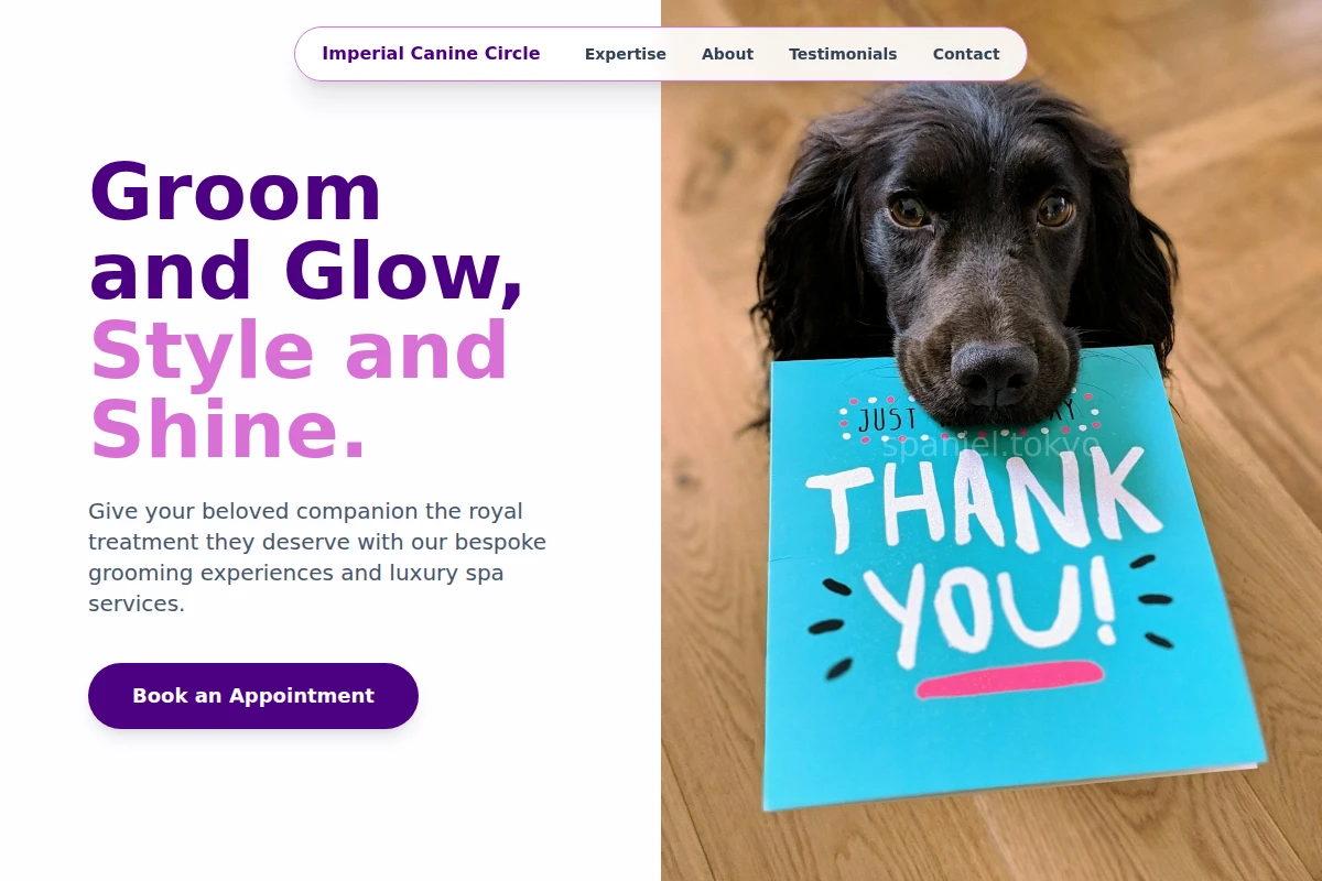 Shears Pet Grooming