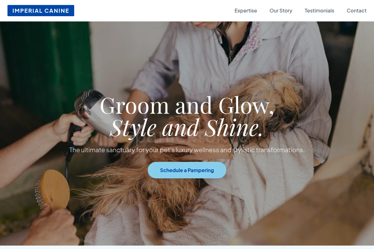 Shampoo Pet Grooming