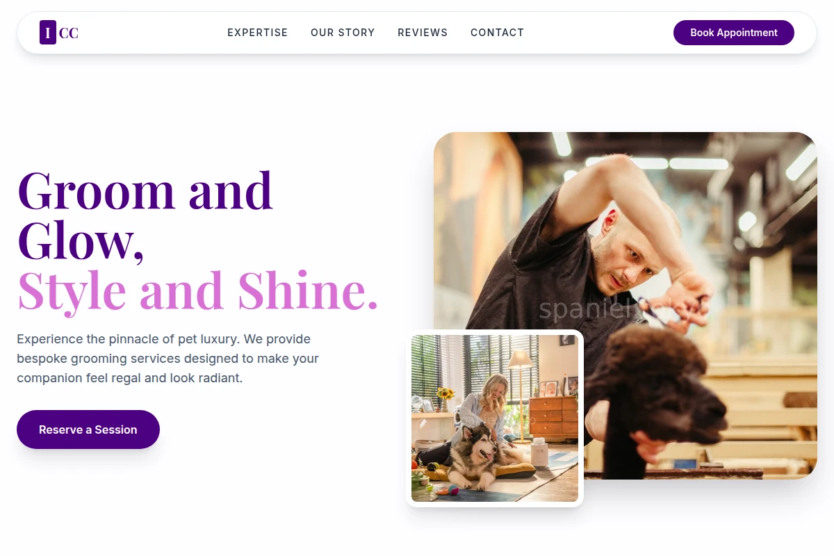 District Pet Grooming