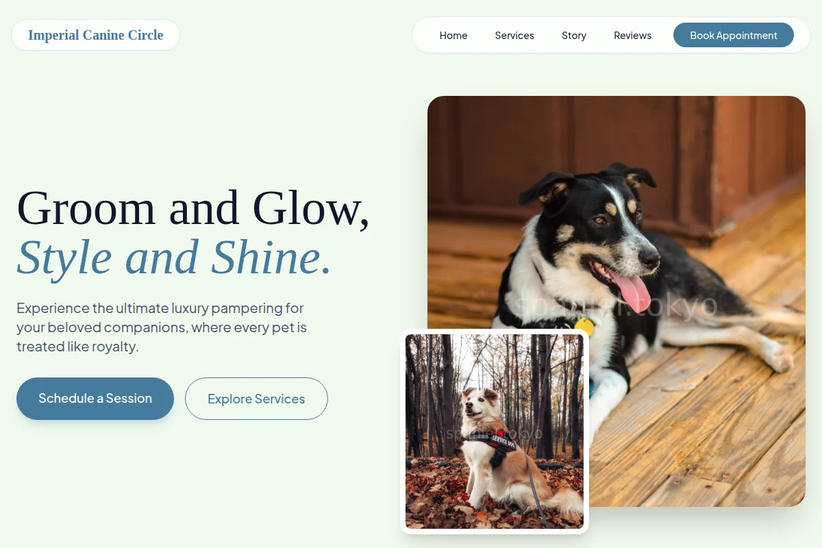Treat Pet Services