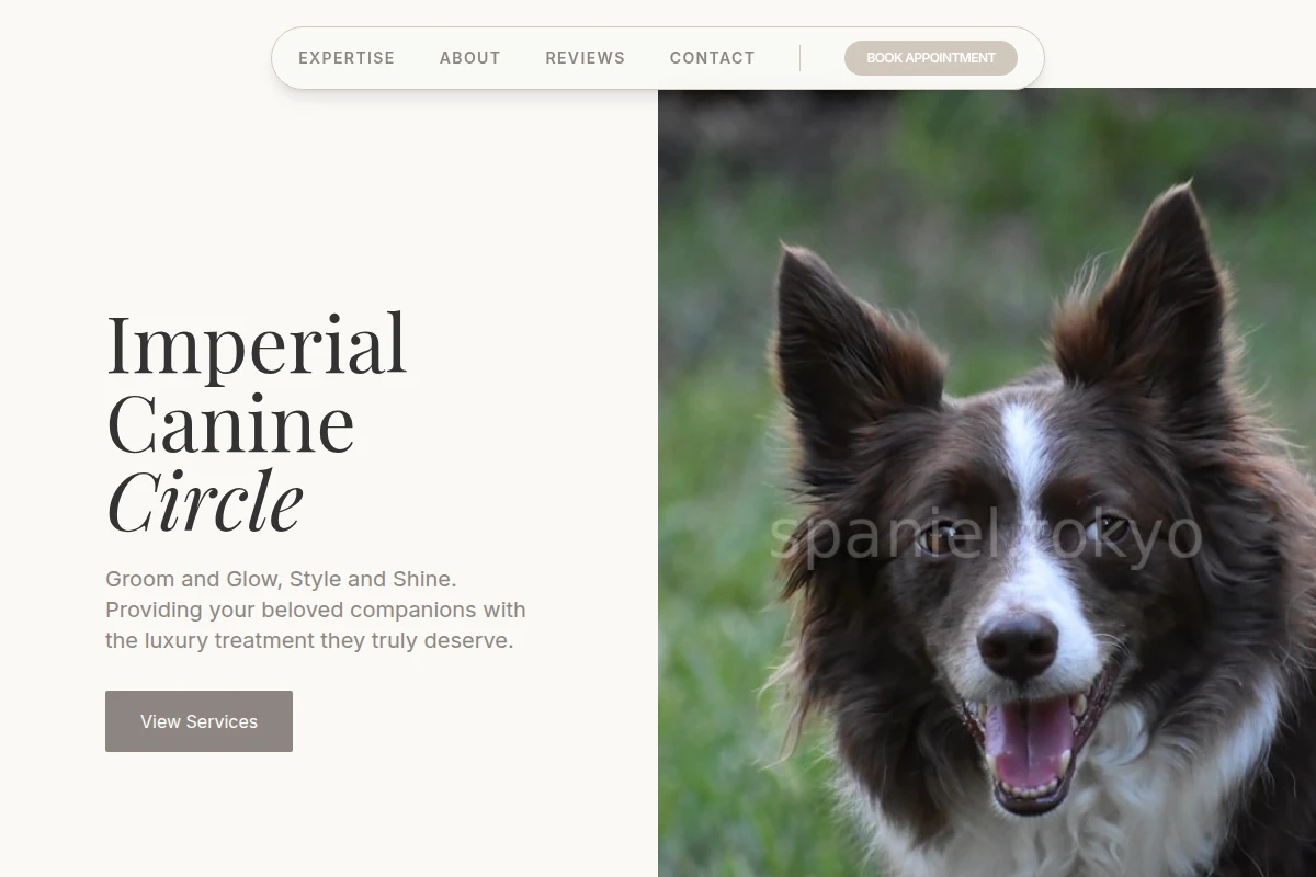 Minimalism Pet Services