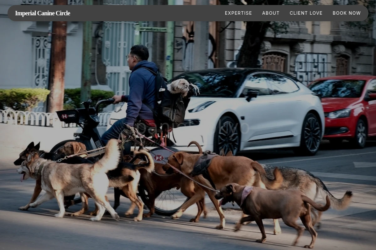 Shinjuku Pet Services
