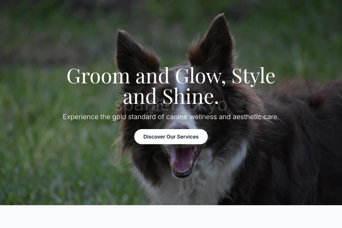 Treat Pet Services