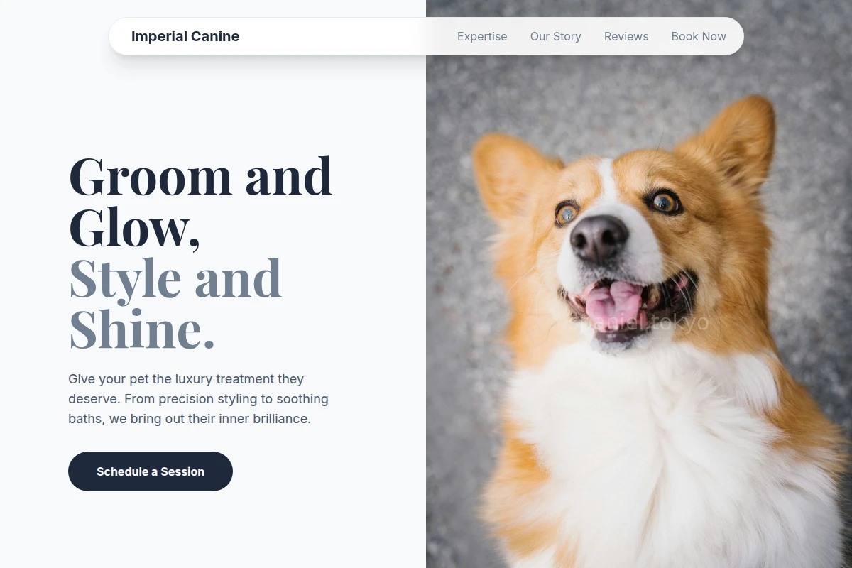 Velvet Pet Services