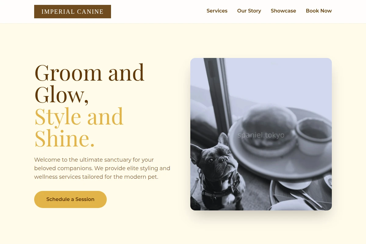 Treat Pet Services